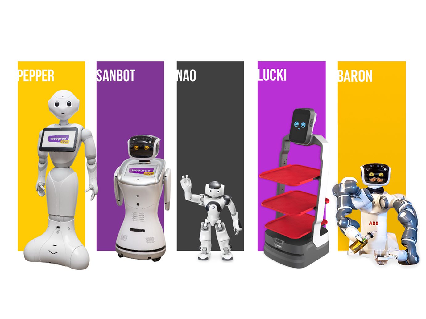 Wszystkie roboty humanoidalne w ofercie firmy Weegree One